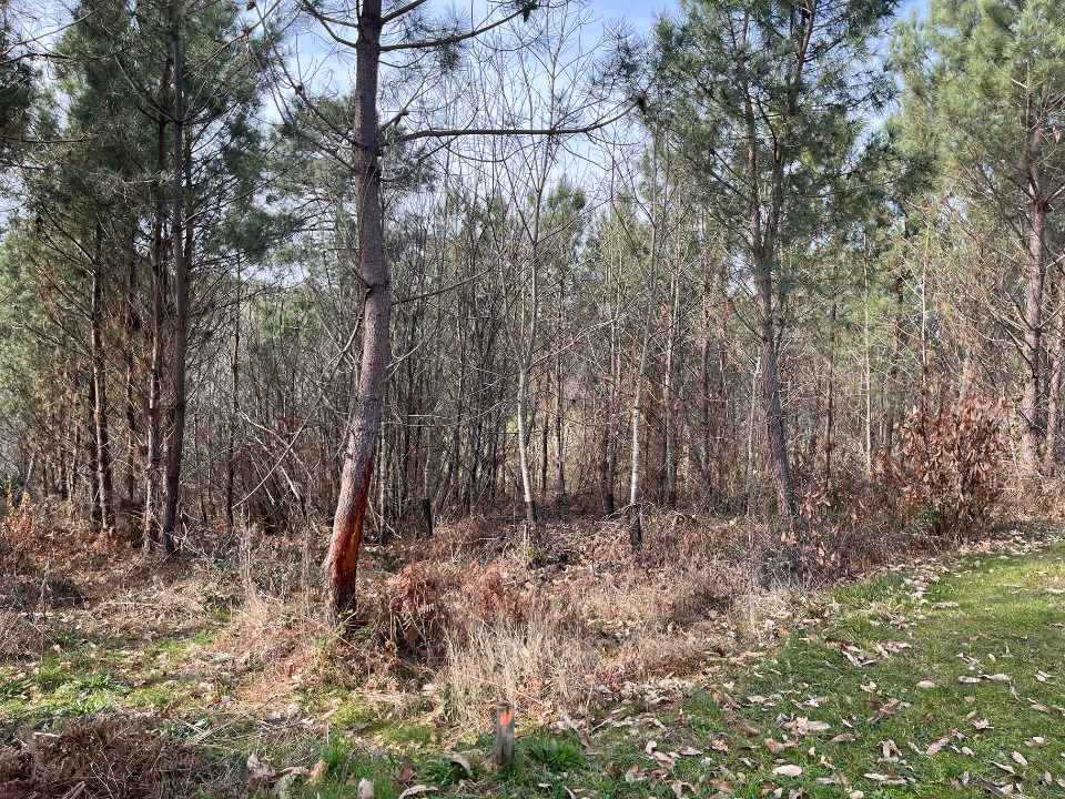 Programme immobilier neuf NS2121895 - Terrain/Terre - Marquay
