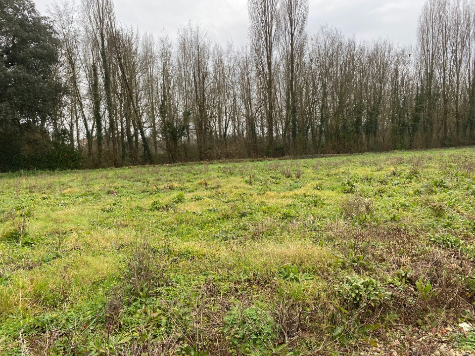 Programme immobilier neuf CR2126592 - Terrain/Terre - Montpellier-de-Médillan