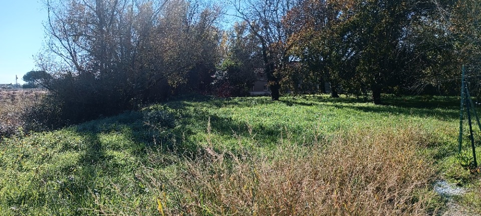 DBBMT3-5-2 - Terrain/Terre - Saint-André-de-Cubzac