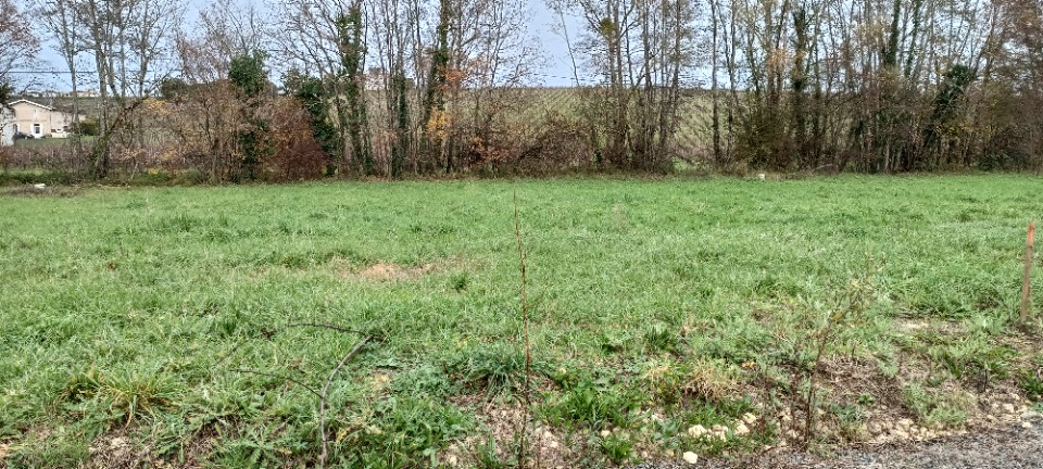 DBBMT3-6-0 - Terrain/Terre - Bourg