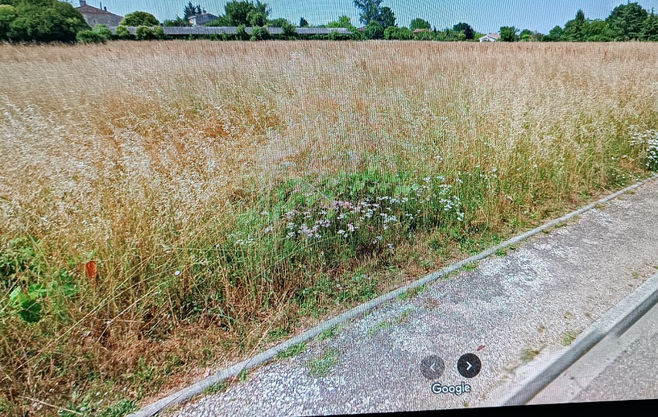DBLALAN2-1 - Terrain/Terre - La Lande-de-Fronsac