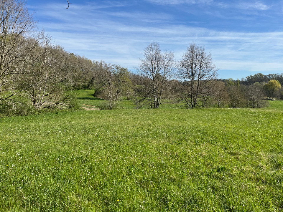 Photo NS2129063 - Terrain/Terre - Nabirat image 2/2