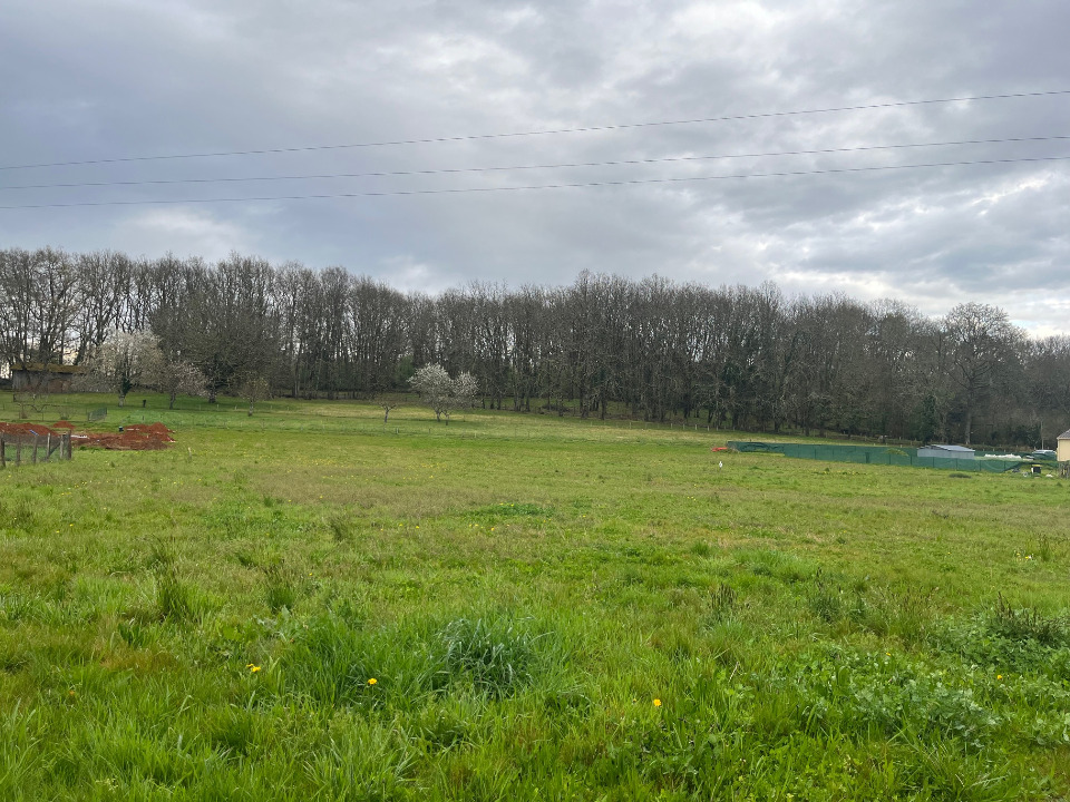 NS2129112 - Terrain/Terre - Lalinde