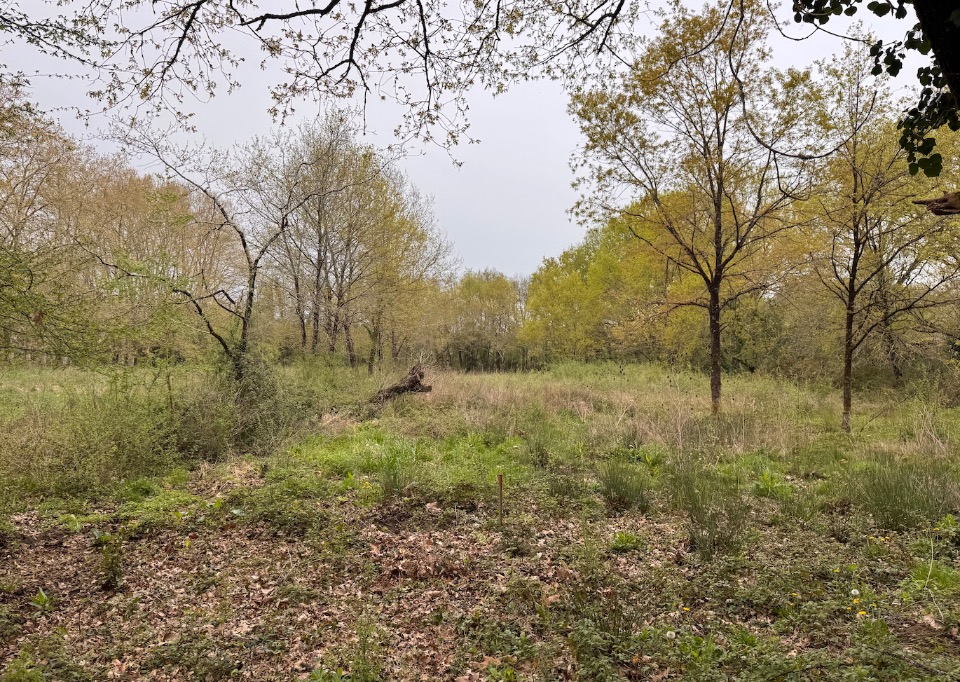 Programme immobilier neuf AMMARTILLACSH858-2 - Terrain/Terre - Martillac