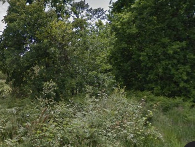 Programme immobilier neuf AF2129323 - Terrain/Terre - Parentis-en-Born