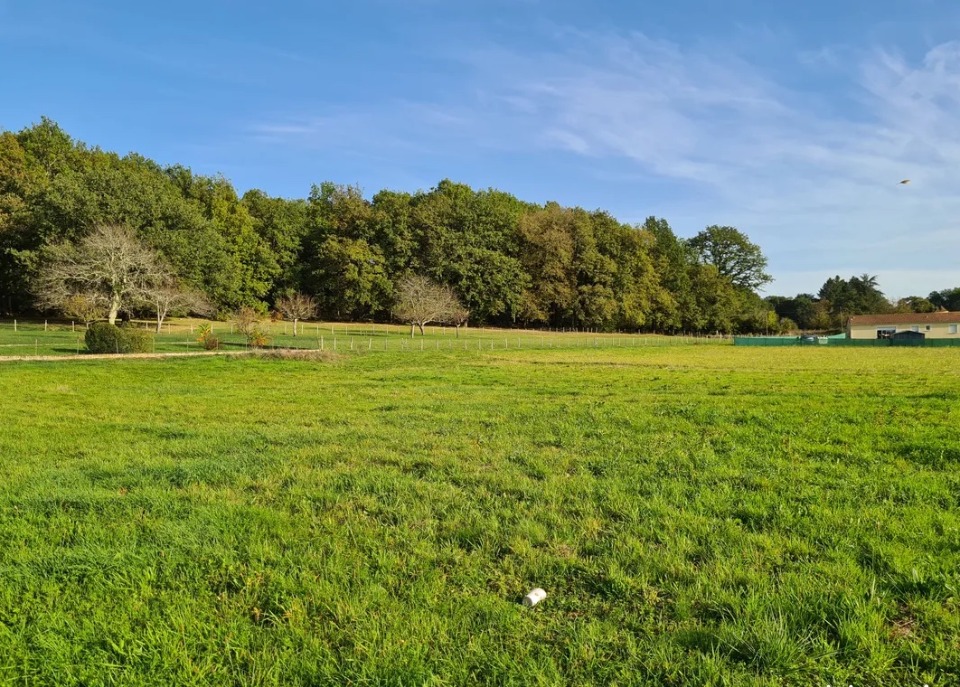 Programme immobilier neuf JT2131408 - Terrain/Terre - Lalinde