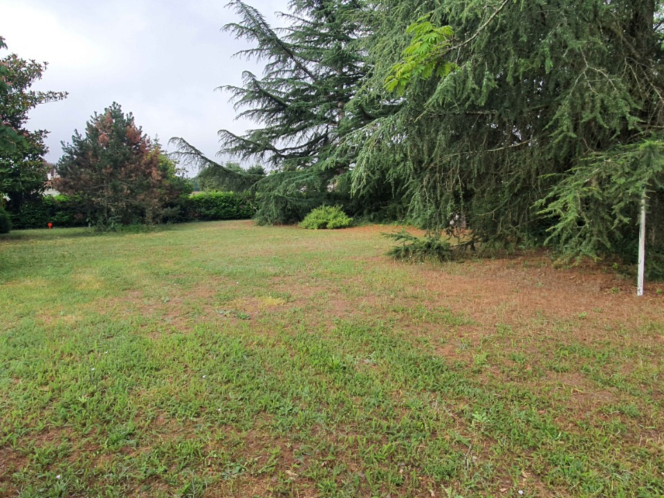 SPCA810 - Terrain/Terre - Cadillac-en-Fronsadais