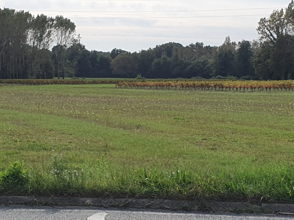 SPSTS540-0 - Terrain/Terre - Saint-Savin
