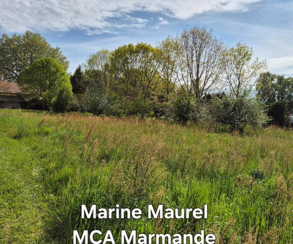 Programme immobilier neuf MM2132908 - Terrain/Terre - Agnac