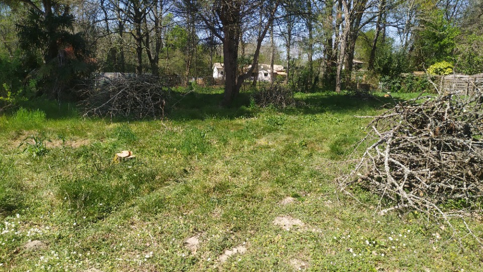 Photo BV2136127 - Terrain/Terre - Noaillan image 1/1