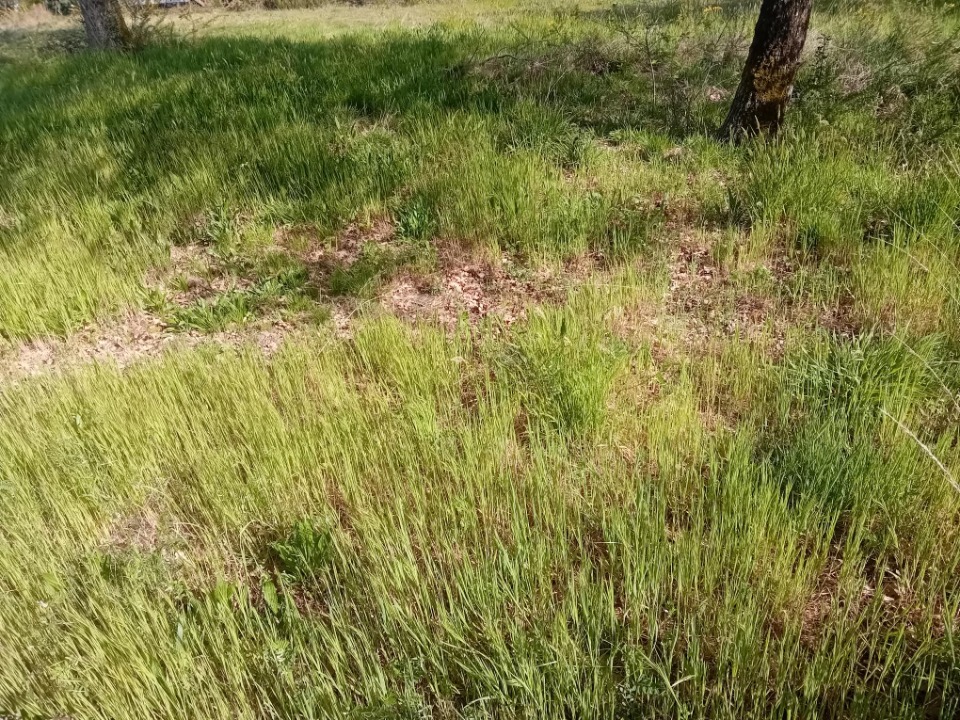 Programme immobilier neuf JT2136365 - Terrain/Terre - Parentis-en-Born