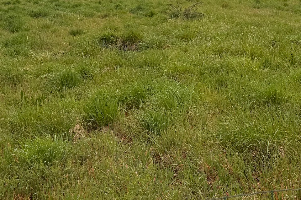 Programme immobilier neuf AMGRADIGNANCS557 - Terrain/Terre - Gradignan