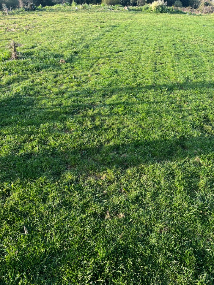 Programme immobilier neuf MH2137588 - Terrain/Terre - Langon