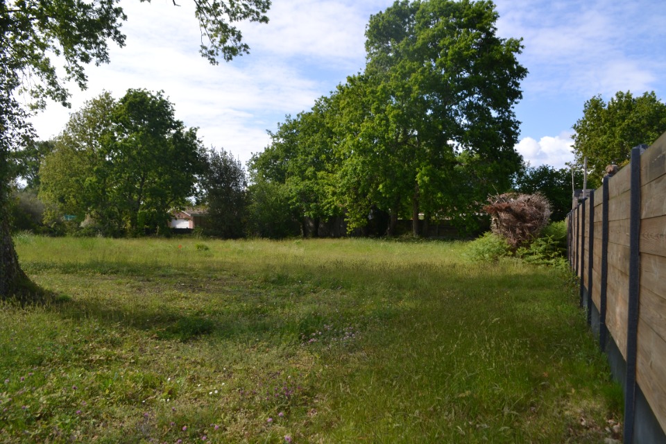 Photo VB2138178 - Terrain/Terre - Audenge image 1/2