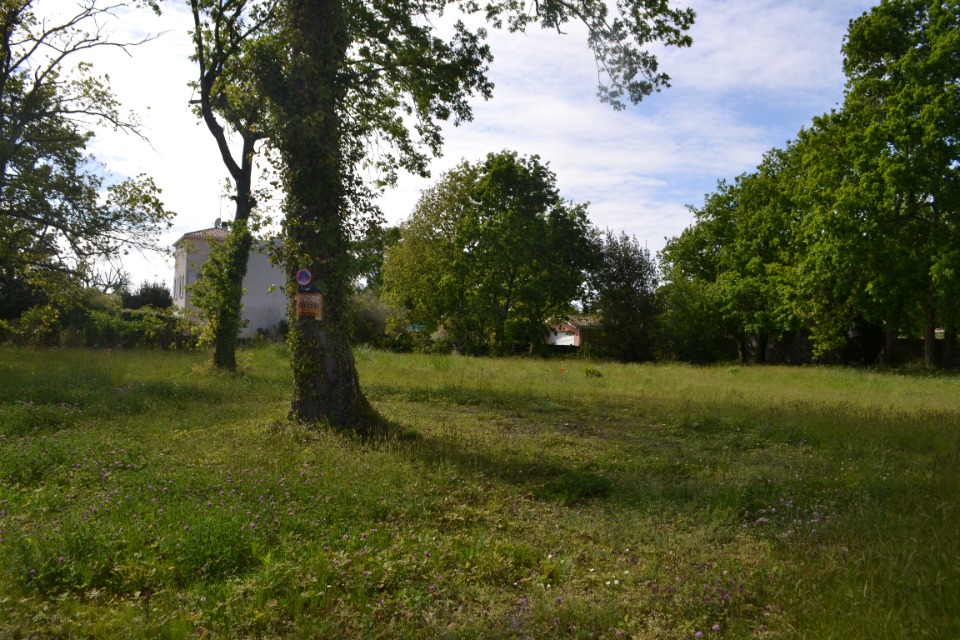 Photo VB2138179 - Terrain/Terre - Audenge image 1/2