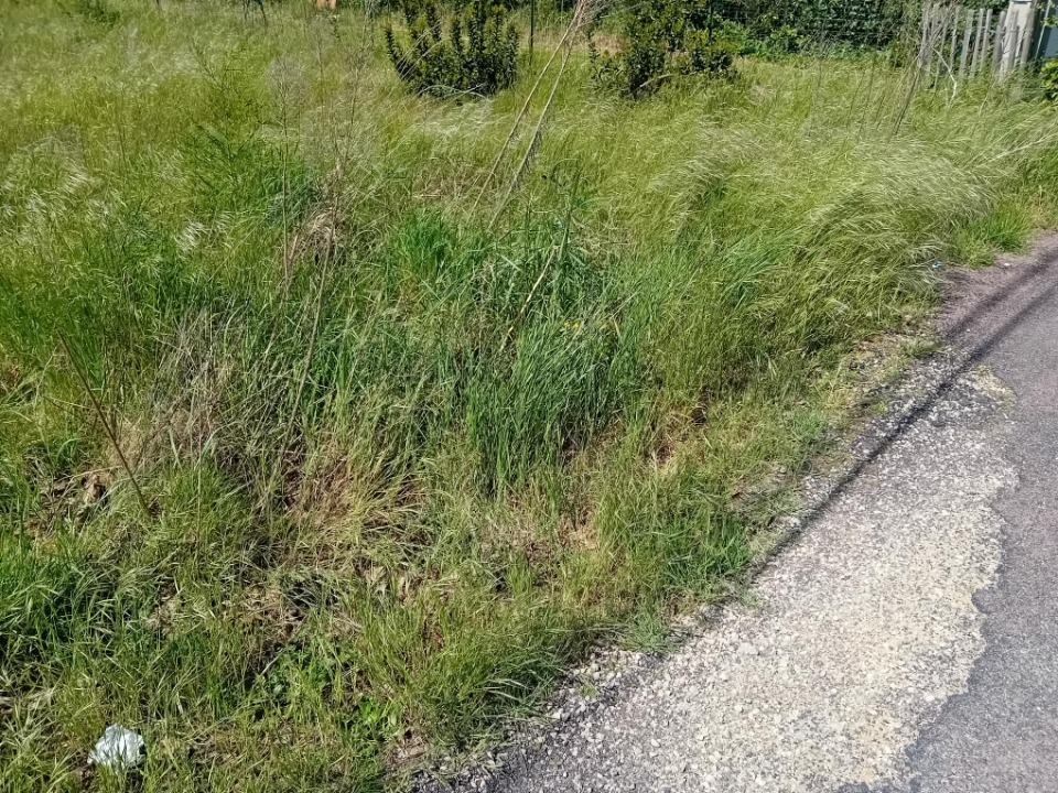Programme immobilier neuf JT2138835 - Terrain/Terre - Villandraut