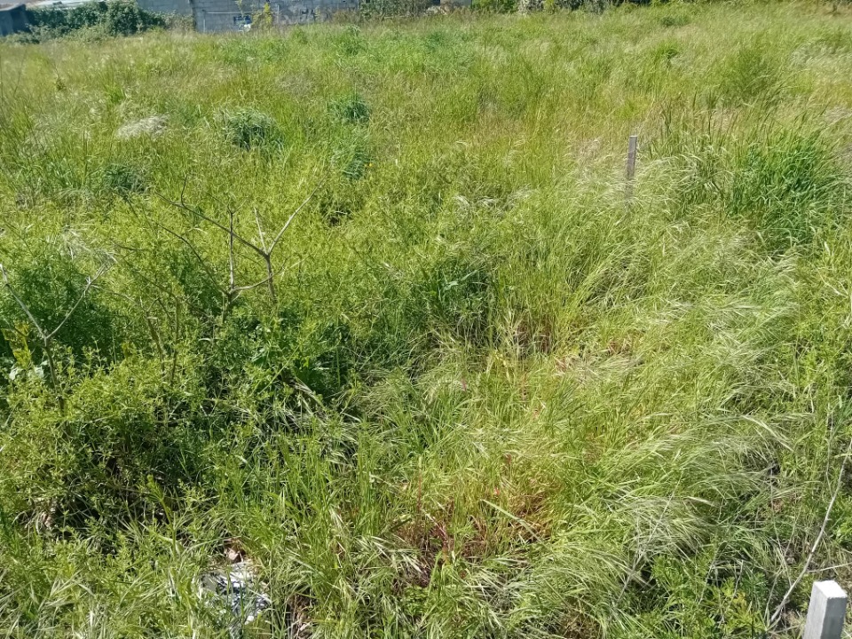 Programme immobilier neuf JT2138835 - Terrain/Terre - Villandraut