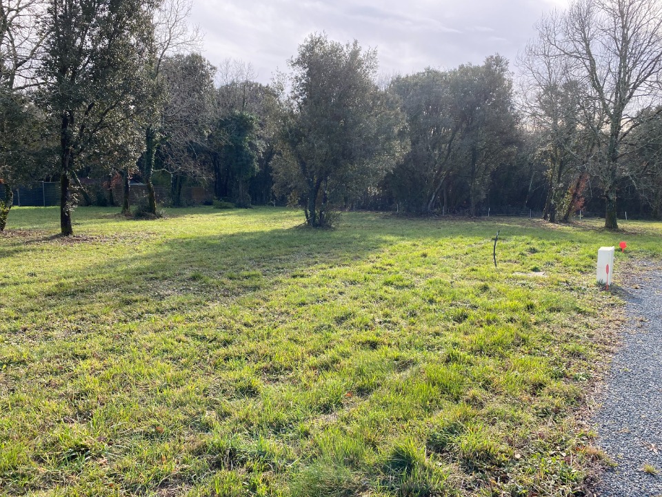 CR2140001 - Terrain/Terre - Saint-Vaize