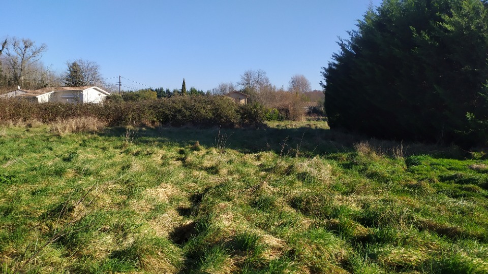 BV2140036 - Terrain/Terre - Noaillan