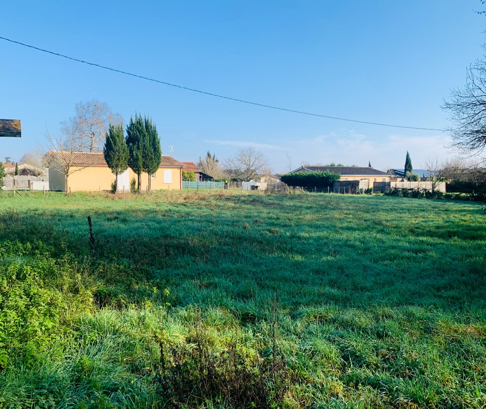 SPSTCH600-1 - Terrain/Terre - Saint-Christoly-de-Blaye