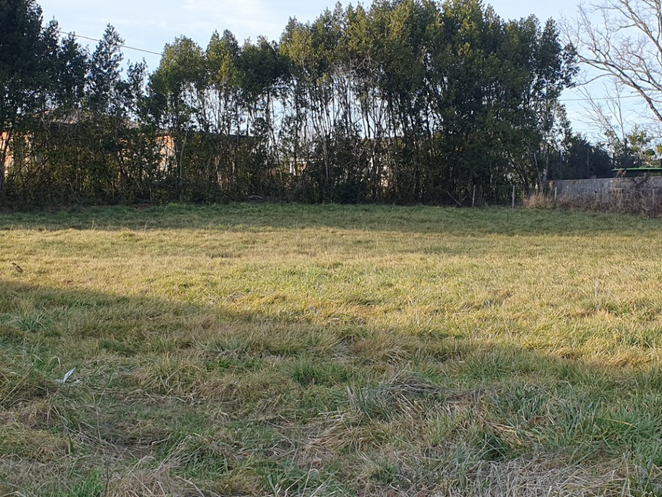 SPSAL900 - Terrain/Terre - Salignac