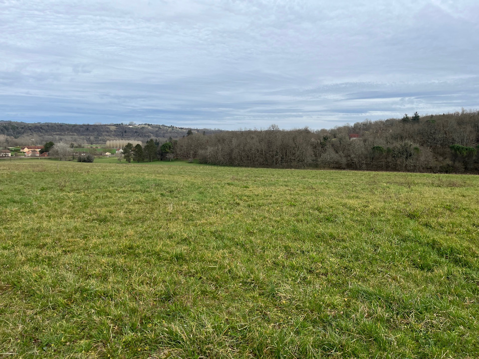 NS2142609 - Terrain/Terre - Le Buisson-de-Cadouin