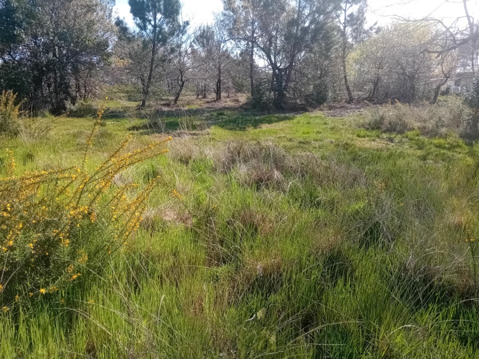 Photo JT2143933 - Terrain/Terre - Mios image 3/3