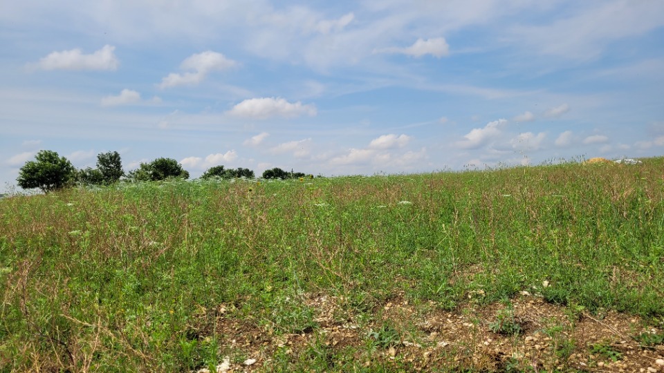 Programme immobilier neuf JT2129848 - Terrain/Terre - Ballon
