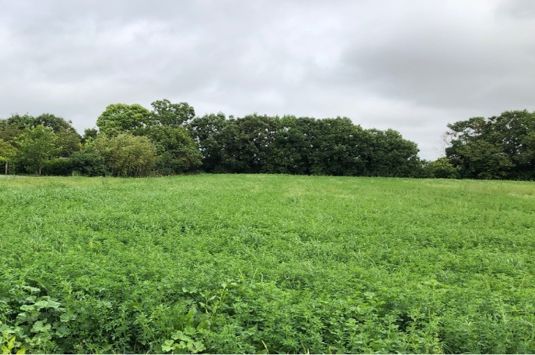Programme immobilier neuf JT2129859 - Terrain/Terre - Ballon