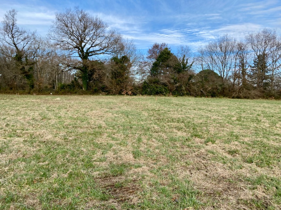 Programme immobilier neuf VC2144413 - Terrain/Terre - Saujon