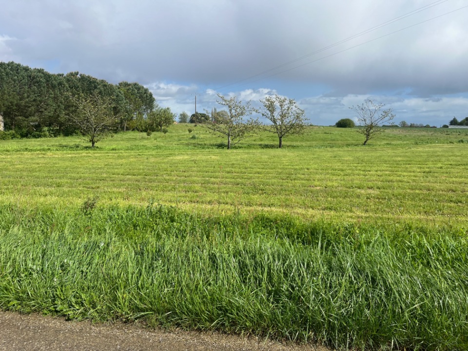 Photo AL2144494 - Terrain/Terre - Caumont-sur-Garonne image 2/3