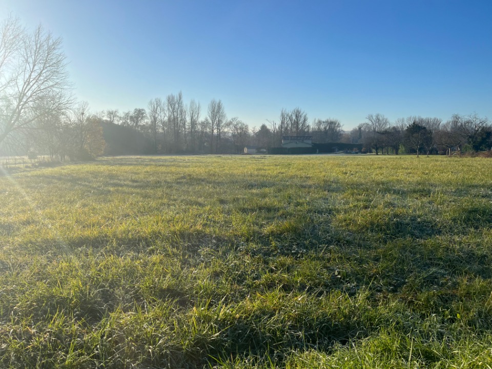 AL2144496 - Terrain/Terre - Miramont-de-Guyenne