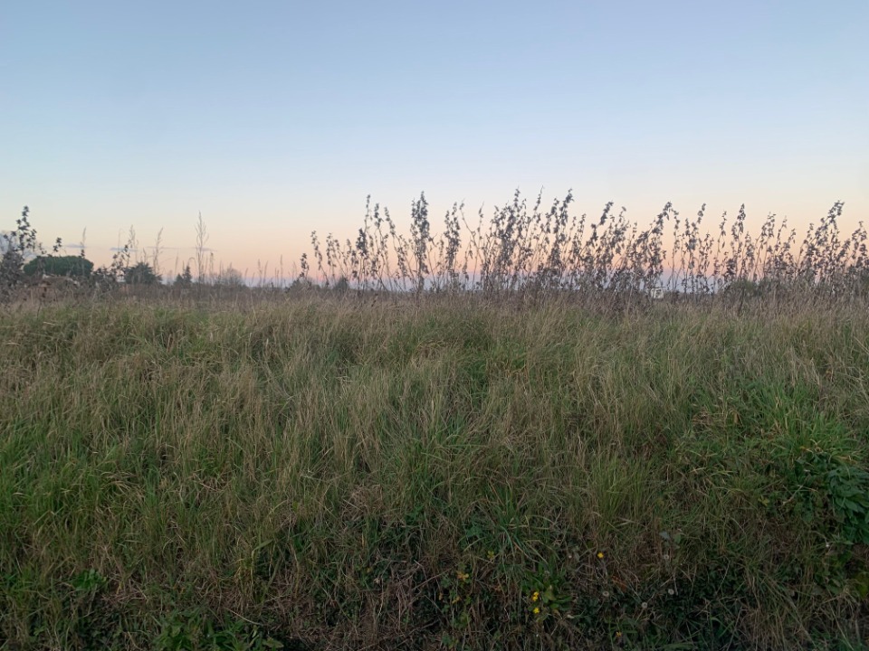 Programme immobilier neuf AL2144499 - Terrain/Terre - La Sauvetat-du-Dropt