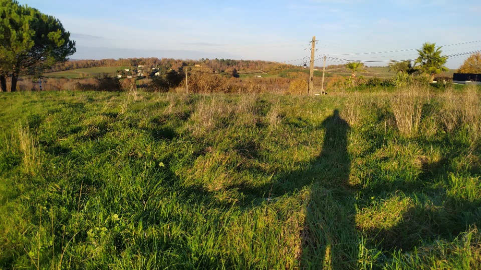 BV2144675 - Terrain/Terre - Omet