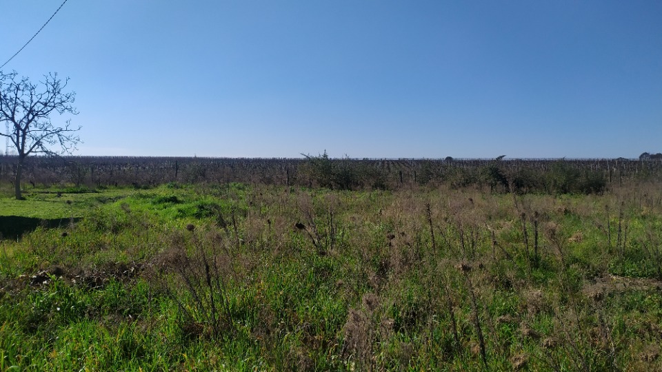 Programme immobilier neuf BV2144750 - Terrain/Terre - Portets