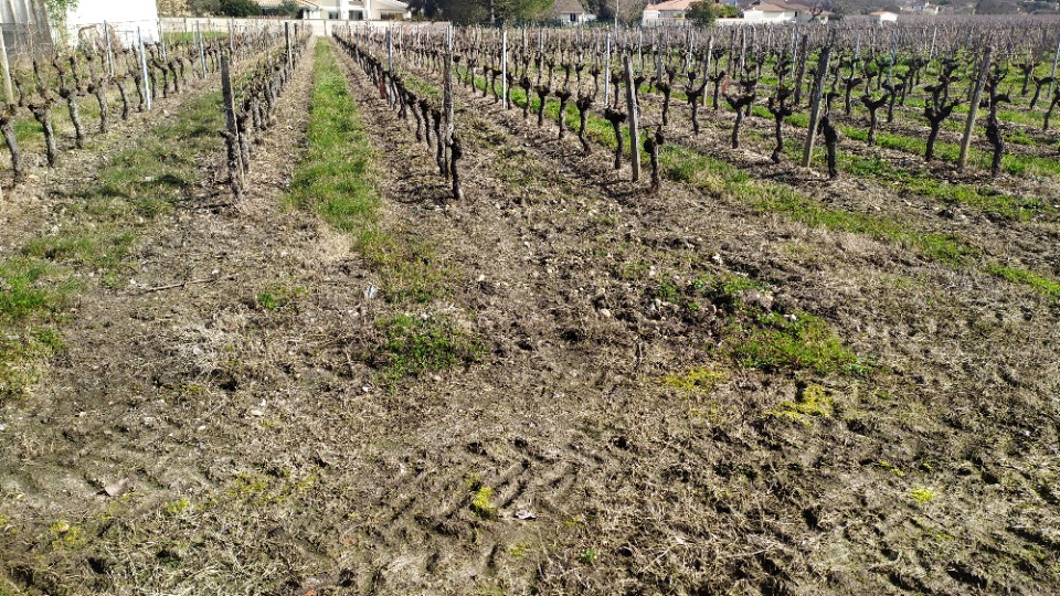 Programme immobilier neuf BV2144822 - Terrain/Terre - Portets