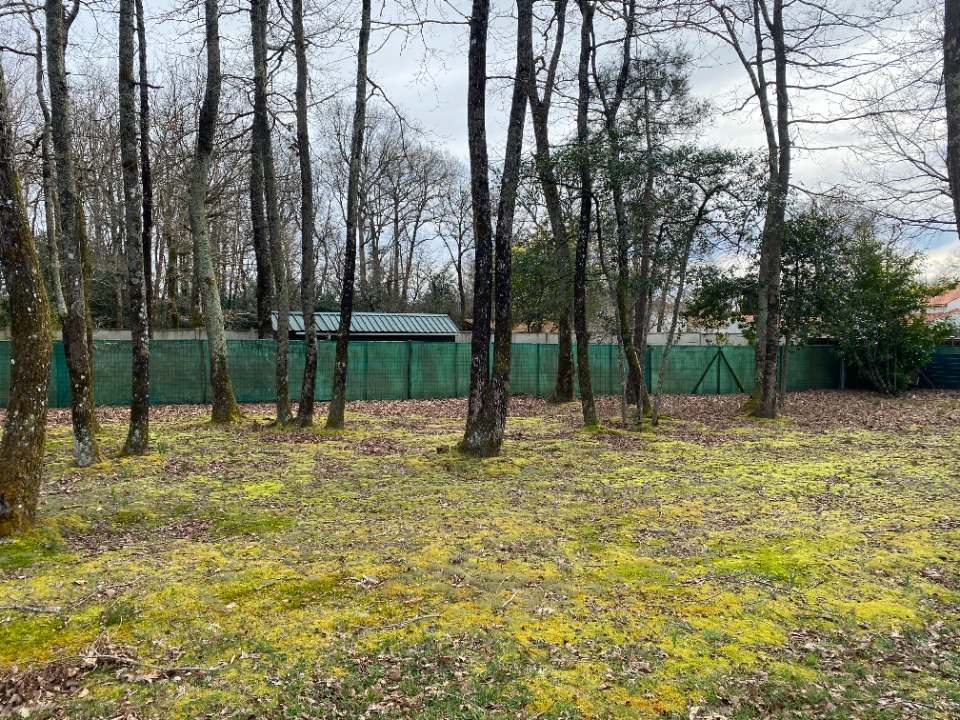 VC2144897 - Terrain/Terre - Breuillet
