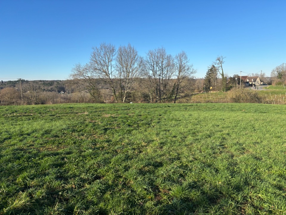 Programme immobilier neuf RG2144718 6 - Terrain et Maison à construire - Bergerac