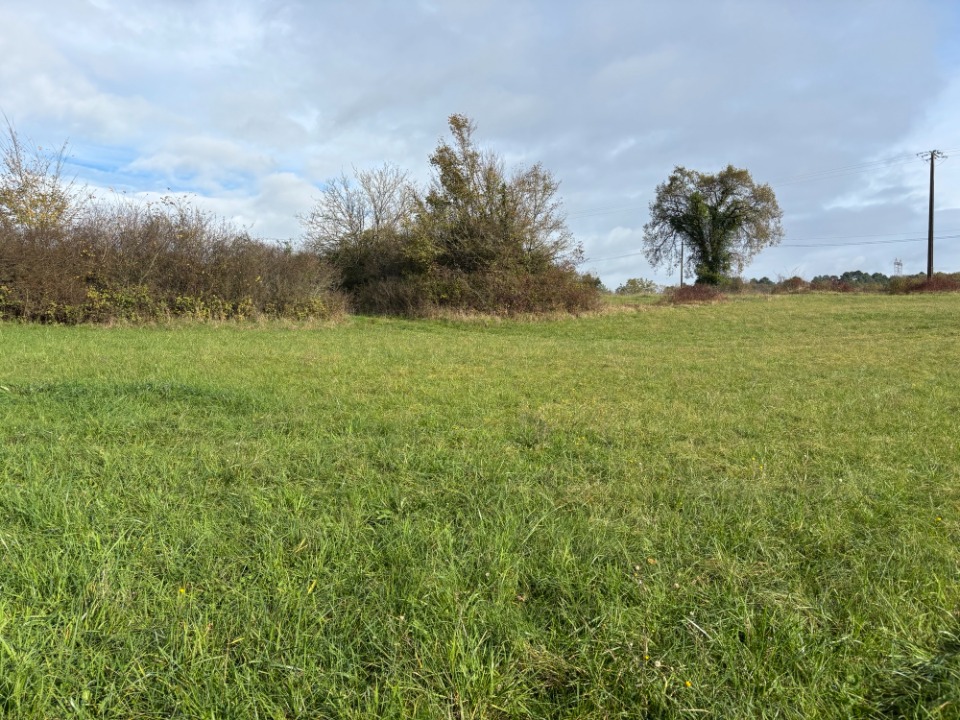 Programme immobilier neuf RG2144737 - Terrain/Terre - Montagnac-la-Crempse