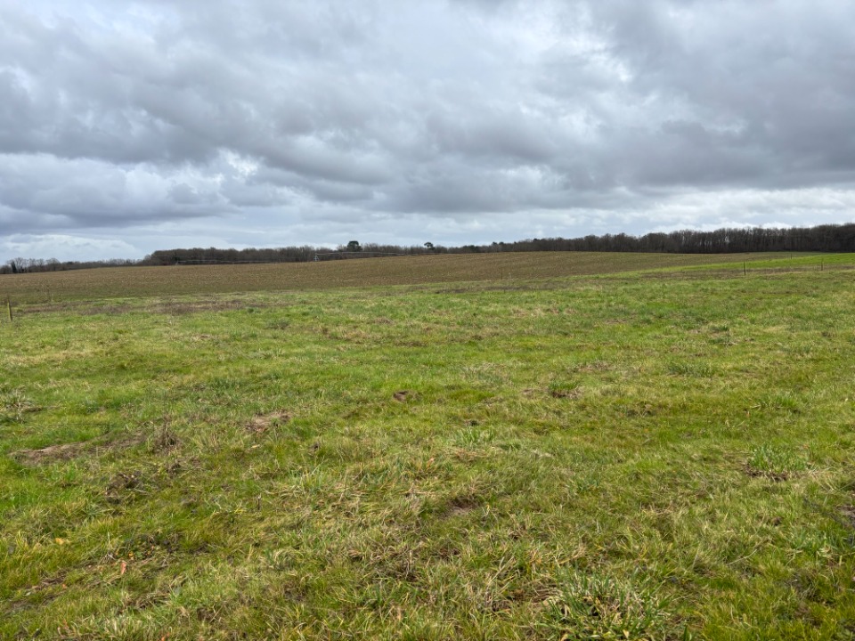 Programme immobilier neuf RG2144826 - Terrain/Terre - Saint-Agne