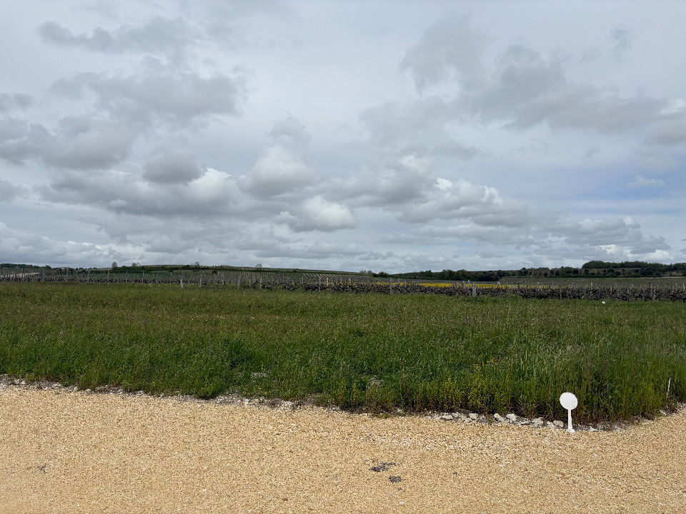 VB2145413 - Terrain/Terre - Pons