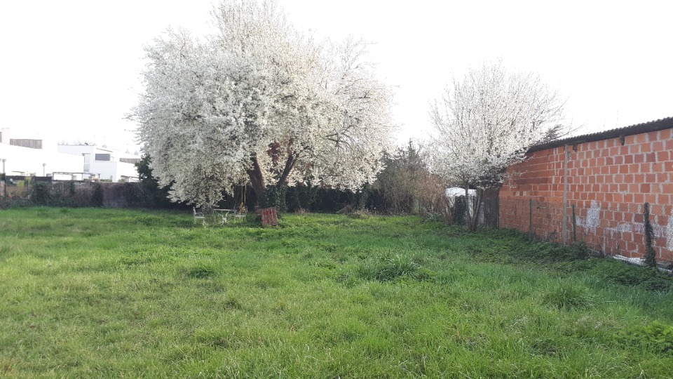 LB2146317 - Terrain/Terre - Bruges