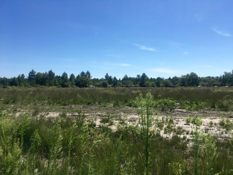 LB2146331 - Terrain/Terre - Mios