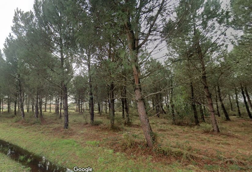 FD2146381 - Terrain/Terre - Andernos-les-Bains