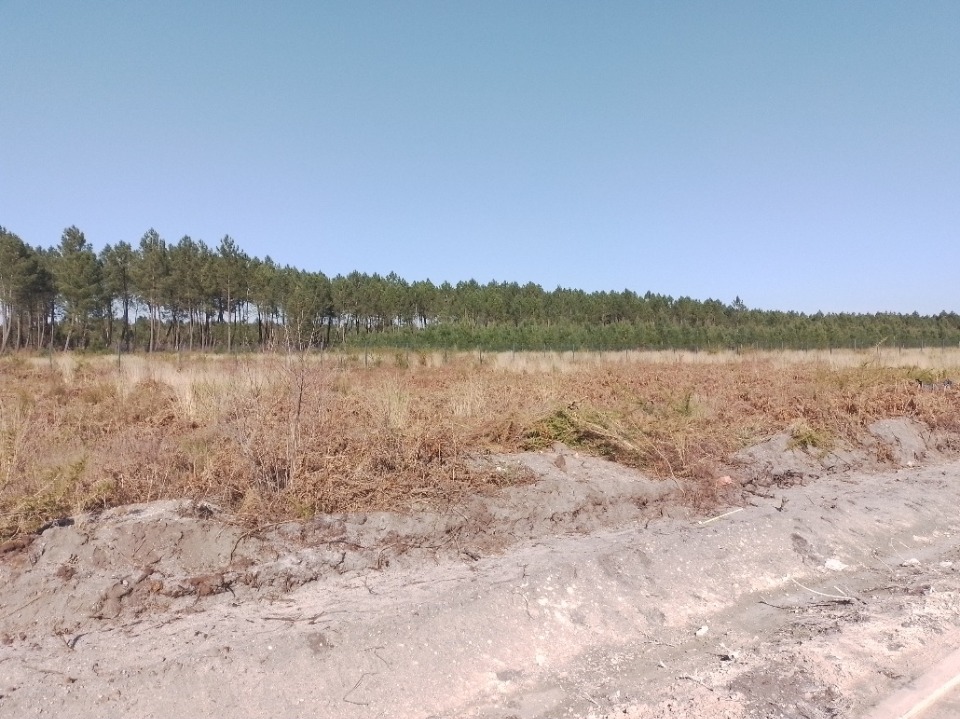 Photo VB2134038 - Terrain/Terre - Mios image 3/3