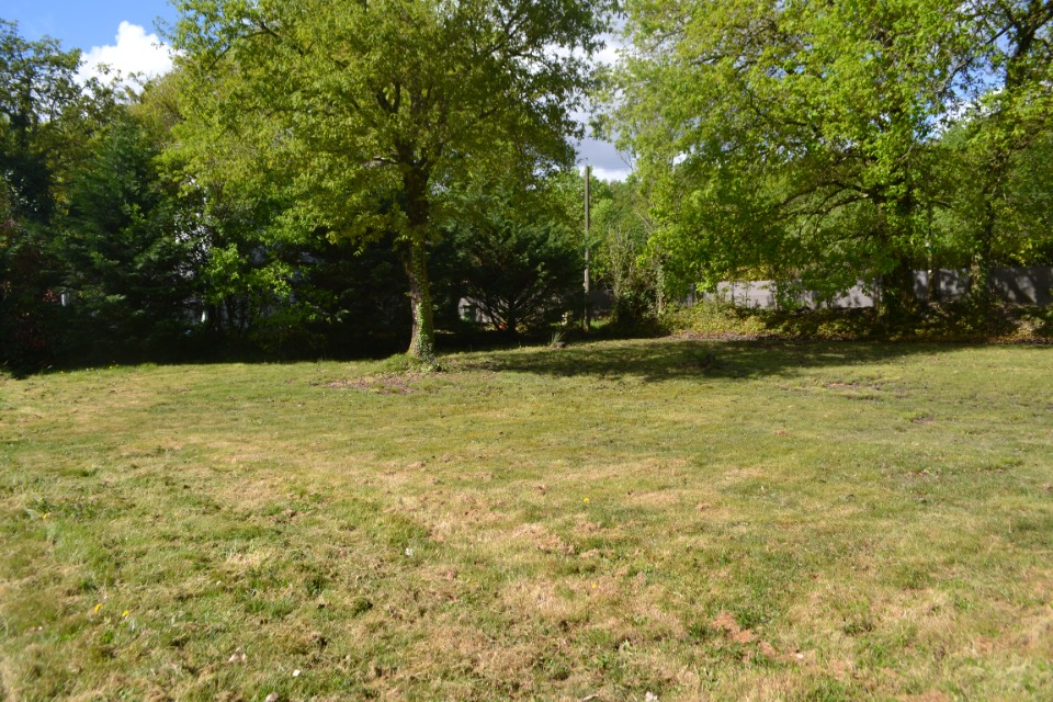 VB2146502 - Terrain/Terre - Belin-Béliet