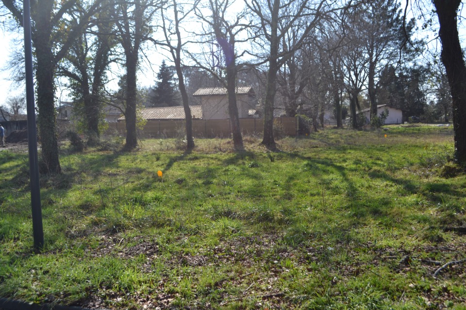 Photo VB2146552 - Terrain/Terre - Le Teich image 1/2