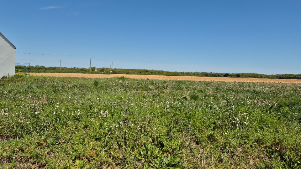 Programme immobilier neuf JT2144240 - Terrain/Terre - Ballon