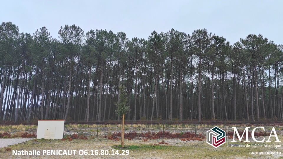NP2146647 - Terrain/Terre - Vielle-Saint-Girons