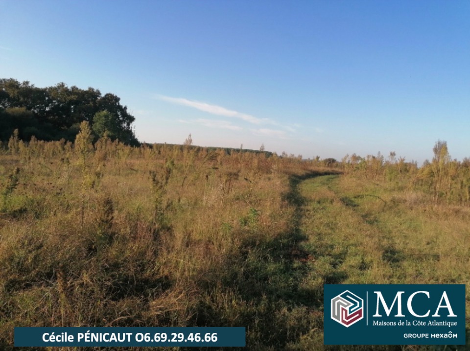 CP2146688 - Terrain/Terre - Préchacq-les-Bains